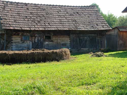 Foto rigoare moroseneasca (c) Petru Goja